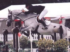 Fortunus Z - Showjumper